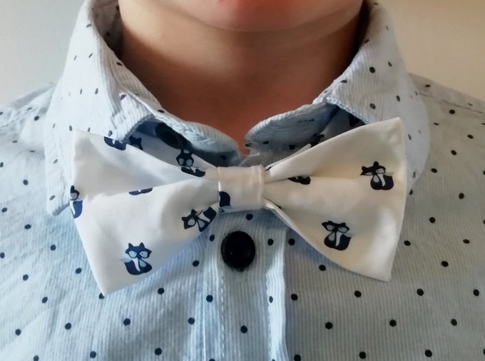Nœud papillon "petits renards bleus"